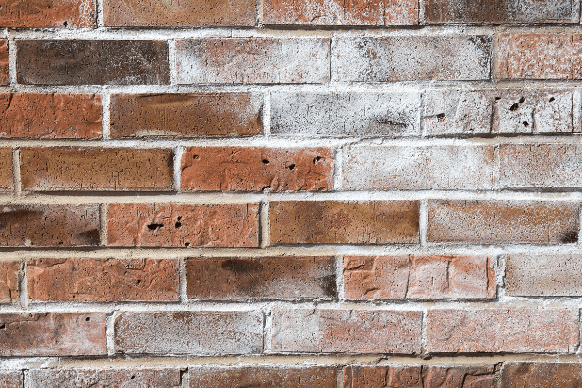 Efflorescence Removal