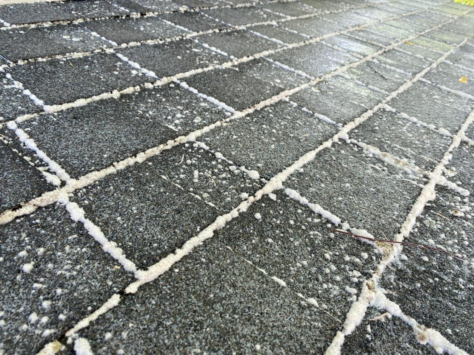 After cleaning