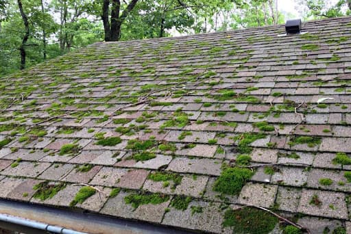 Roof cleaning process